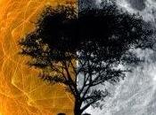 Ready, set…Readathon!