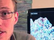 Mapping Semantic Space Cortical Surface