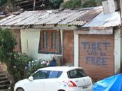 DAILY PHOTO: Tibetan Murals McLeod Ganj