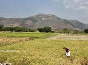 Krishi Welfare What Manmohan Started Kalyan Cess (KKC)