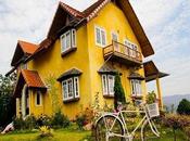 Landscaping Tips Improve Your Home Security