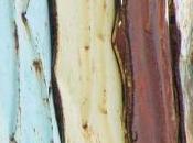 Poetry Review: Light Song Miller