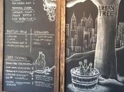 Reasons Urban Tree Cidery Place This Summer!