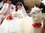 Hiring Alpacas Marriage