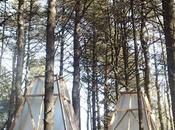 Students Built This Woodland Retreat