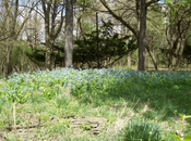 Chicago’s Hidden Gems: Unique Parks Gardens