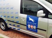 Learning About Blue Cheese