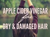 Natural Remedies Damaged Hair Apple Cider Vinegar