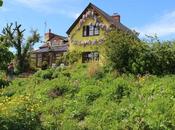 Garden Visit: Montpelier Cottage