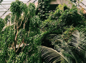 Spotted Instagram: Gardens Visit Inspired