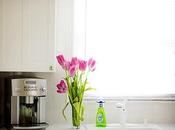 Spring Cleaning: Earth-Friendly