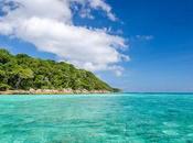 Thailand Closes Dive Sites Over Coral Bleaching Crisis Environment Guardian