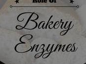 Role Enzymes Baking