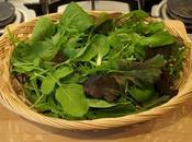 Harvest Monday 30th 2016