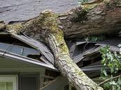 Know Enemy: Most Common Causes Roof Damage