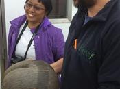 Seed Worlds Largest Plant Looks Like Kardashians Butt