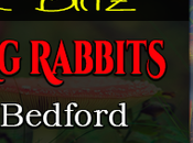 Chasing Rabbits Erin Bedford @JGBookSolutions @erinrbedford