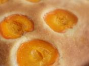 Apricot Sheet Cake