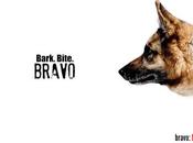 BRAVO: BLOOD ROAD (Promo Unveiling STATE FEAR Release Reschedule)