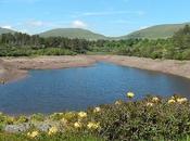 Back Brecons (Part