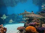 National Aquarium Baltimore