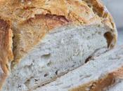 Artisan Bread Minutes Only Recipe Need