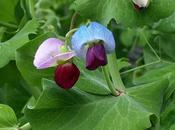 Dull Gloomy Good Bad?