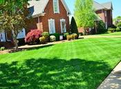 Signs That Your Sewer Line Leaking