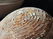 Whole Wheat Country Bread (poolish)