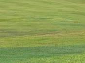 NIMBY NIMBY, That Question?