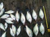 Dewey Lake Crappie Fishing Report 2/24/12