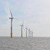 Offshore Wind Projects Clear Environmental Review