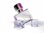 Perfect Scents: What Need Know About Perfume