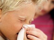 Dust Mites Causing Your Child’s Allergies?.