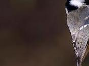 Review: Without Right Yoga Bust