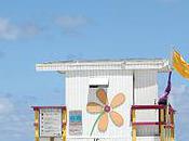 English Course Miami According Student Fluency Level