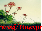 Expressed/Unexpressed
