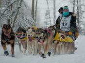 Iditarod 2012: Well Rested Teams Move