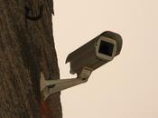 Bizarre Shopping Privacy Double-Standards