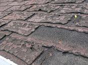 Signs Need Your Roof Replaced