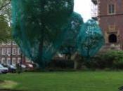 London Trees What Earth Going