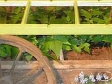 Ways Recycle Transform Windows