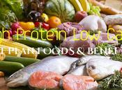 High Protein Carb Diet Plan Foods Benefits