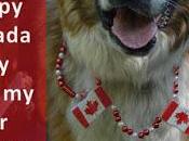 Happy Canada Dog!