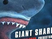 GIANT SHARK Featured Fabled Learning Summer Reading PopUp Library