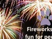 Canada Day: Fireworks Pets Don't