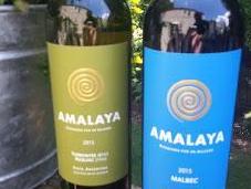 “Wines Altitude” with Salta's Amalaya Wines