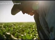 True Farming Miracle Israel's Arava Desert (video)