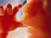 Texas Require Burial Cremation Aborted Fetuses