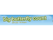 Butterfly Count 2016 #Competition